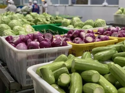 托管新潮流，让企业食堂成为吃货圣地！